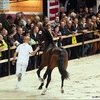 Аукцион чемпионов
