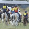 Изменения в международных правилах по конным пробегам