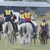 Чемпионат России по дистанционным конным пробегам стартует в Карачаево-Черкессии