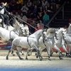  Longines CSI5* Basel