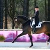 VIDAUBAN DRESSAGE FESTIVAL