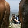Как фотографировать лошадь. Часть III. Технические параметры и борьба с тенью