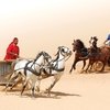 Спирали истории: лошади как столпы цивилизации