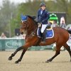 Наталья Белова - пятая на конкурном турнире CSI5* в Бельгии