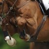 CSIO3*, Будапешт. Россияне в призах!