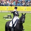 Последний турнир замечательной выездковой лошади