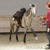 Maxima Stables распахнул двери ковбоям
