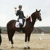 Чемпионат России по выездке среди молодых лошадей совсем близко!