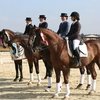 Семинар по выездке с международым судьей пройдет в "Новом веке"
