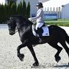Итоги соревновнований по выездке на кубок Maxima Park