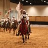 Конная выставка в Эмиратах ждет гостей