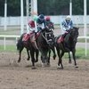 Лучшие из лучших поборются за Приз Президента РФ