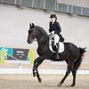 В Maxima Stables завершились соревнования по выездке!