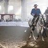 Fieracavalli: итальянская выставка с особым колоритом 