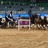Австралийский драйвер продолжает своё шествие к пятому титлу Чемпиона Мира.