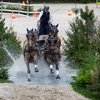 Бойд Эксель побеждает в этапе Кубка Мира ФЕИ на CHI Geneva в восьмой раз!