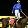 7 января стартовал скаковой карнавал Dubai World Cup!