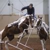 Pennsylvania Horse World Expo 