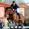 Олива, Mediterranean Equestrian Tour: Джамал Рагимов снова на первом месте!