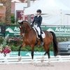 Adequan® Global Dressage Festival: Лора Грейвс и Вердейдес побеждают в Спешиал Гран-при!