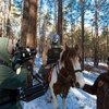 На телеэкраны выходит фильм, посвящённый конному походу Абай Гэсэра