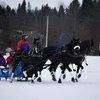 День Коня в Ерофейке: соревнования троек собрали 5 тысяч человек!