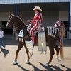 Midwest Horse Fair 