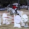 Катар, CSI5*: Владимир Туганов снова в призах!