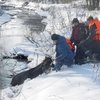 Спасатели Новокузнецка вытащили замерзающую лошадь из ручья