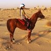 DUBAI CROWN PRINCE ENDURANCE CUP: неожиданные изменения!