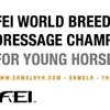 Чемпионат Мира среди молодых лошадей по выездке, CH-M-YH-D