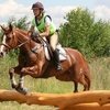 Чемпионат Мира среди молодых лошадей по троеборью, CH-M-YH-CCI1*, CH-M-YH-CCI2*