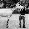 Ченнинг Татум получил на день рождения лошадь