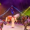 Большой Московский государственный цирк на проспекте Вернадского отмечает 45-летие