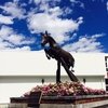 Эмбрион от Хикстеда продан за 34 000 евро