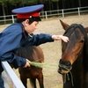 Фестиваль "Конь казаку всего дороже" собрал более трёх тысяч зрителей