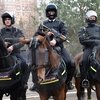 Чешские полицейские изучили опыт работы московского подразделения конной полиции