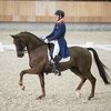Бонзаньо Дидерика ван Сильфхаута продан в Германию