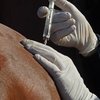 Работа антидопинговой лаборатории в Рио приостановлена WADA