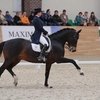 Изменения в мировом рейтинге по выездке: Инесса Меркулова в ТОП-5! 