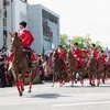 В Краснодаре конный казачий патруль будет следить за порядком на водоёмах