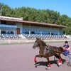 В августе в Курске начнётся строительство ипподрома и конноспортивного комплекса за 1,5 млрд рублей