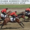 В Краснодаре состоялись скачки на Кубок губернатора