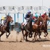 На Элистинском ипподроме завтра состоятся главные скачки сезона