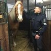 Иван Грозный покидает службу в финской конной полиции