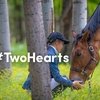 Акция #TwoHearts повышает шансы конного спорта оставаться в программе Олимпийских Игр