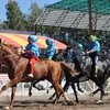 Всемирные игры кочевников будут проходить каждые два года в Кыргызстане