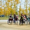 Ипподром «Алтай» закрывает беговой сезон.