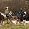 1 и 2 октября в конном клубе Аванпост состоится конная псовая охота. 