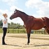 О чем говорят лошади и почему спортсмены их не слышат